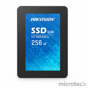 256GB SSD