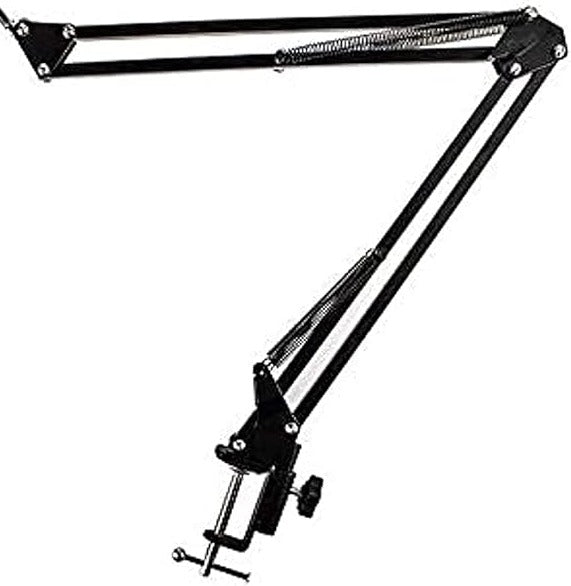 Professional Mic Stand