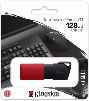 KingstonFlashDrive128GBUSB3.2