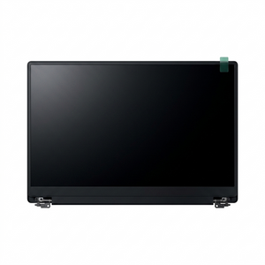 Monitor Laptop LED 15.6 inch 30Pin