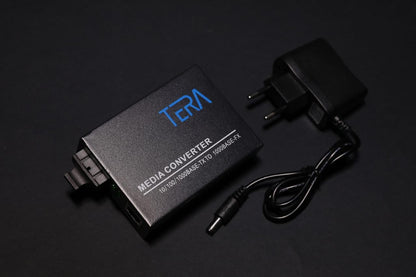 Tera media converter SM 1 port main view