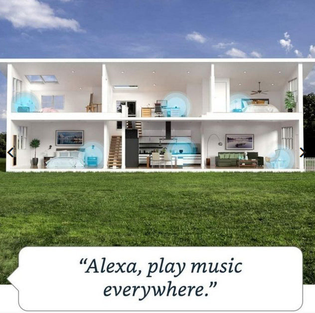 Alexa Echo Dot 5th Gen charcoal detail view