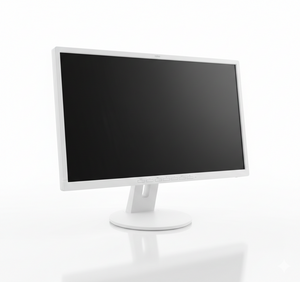 Front view of Fujitsu 24 inch LED monitor