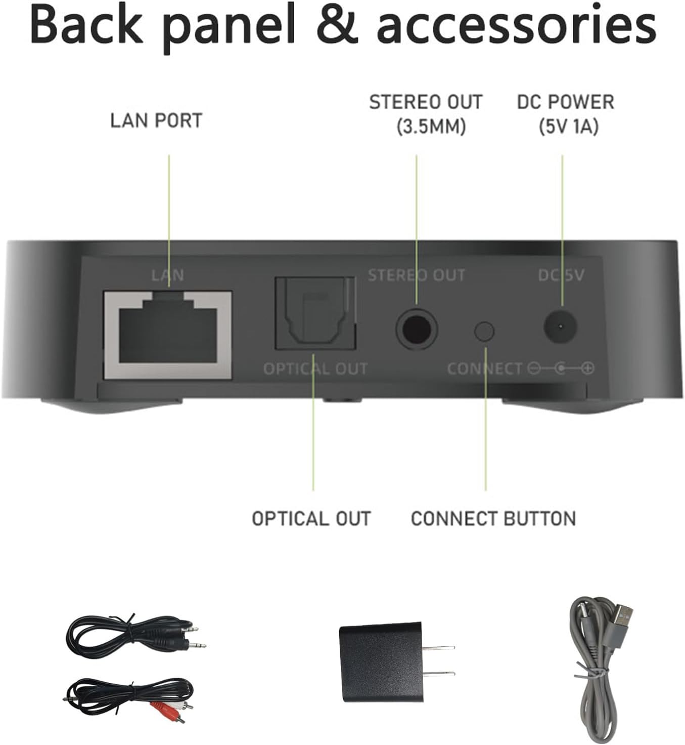 Detail view of NewLife M20 Receiver rear ports